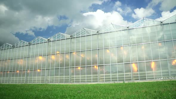 Industrial Greenhouse