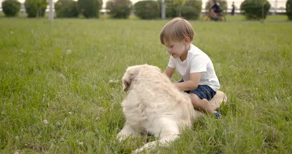 Little Boy Playing with Golden Retriever Dog