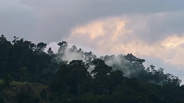 Costa Rica Misty Rainforest Landscape with Mountains Scenery in Jungle with Low Lying Mist and Cloud
