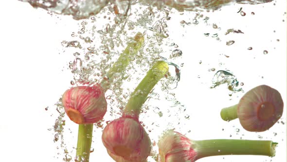 Super Slow Motion Garlic Under Water with Air Bubbles on a White Background