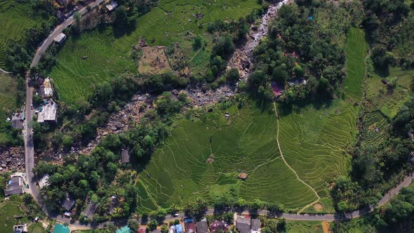 Aerial view of houses in countryside near Nuwara Eliya, Sri Lanka