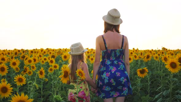 Mom and Little Daughter in a Field of Sunflower in the Summer at Sunset