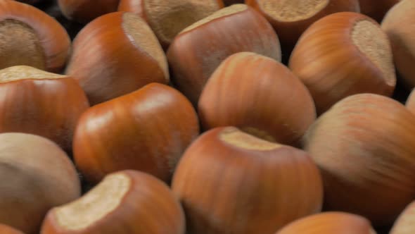 Hazelnuts on wooden surface slow dolly 4K 2160p UHD footage - Corylus avellana shells on table close