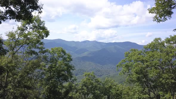 Drone Fly Through Trees To Mountains