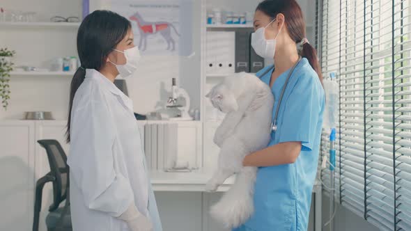 Portrait of veterinarian doctor and assistant working in pet hospital.