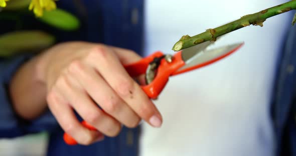 Female florist trimming flower stem