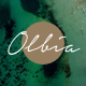 Olbia - Elegant WordPress Theme for Photographers - ThemeForest Item for Sale