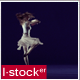 Modern Ballet 22 - VideoHive Item for Sale