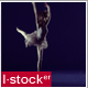 Modern Ballet 23 - VideoHive Item for Sale