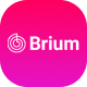 Brium - Consultancy & Business HTML Template - ThemeForest Item for Sale