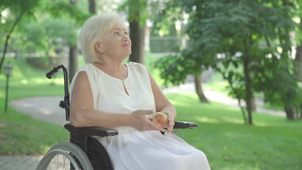 Portrait of Smiling Handicapped Senior Woman in Wheelchair Sitting in Sunlight in Summer Park and