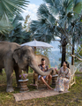 Couple visiting a Elephant sanctuary in Chiang Mai Thailand, Elephant farm in the mountains jungle - PhotoDune Item for Sale