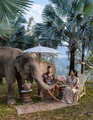 Couple visiting a Elephant sanctuary in Chiang Mai Thailand, Elephant farm in the mountains jungle - PhotoDune Item for Sale