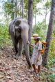 Asian women visiting a Elephant sanctuary in Chiang Mai Thailand, girl with elephant in the jungle - PhotoDune Item for Sale