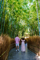 The couple visits a Bamboo forest in Chiang Mai Thailand, Japanes garden in Thailand - PhotoDune Item for Sale