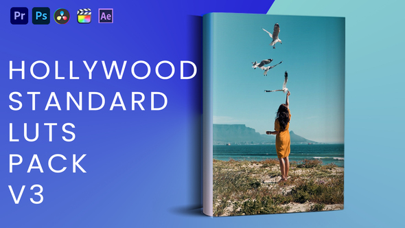 Hollywood Standard Luts Pack V3