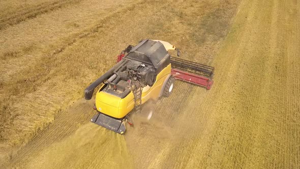 Aerial View of Combine Harvester Harvesting Large Ripe Wheat Field