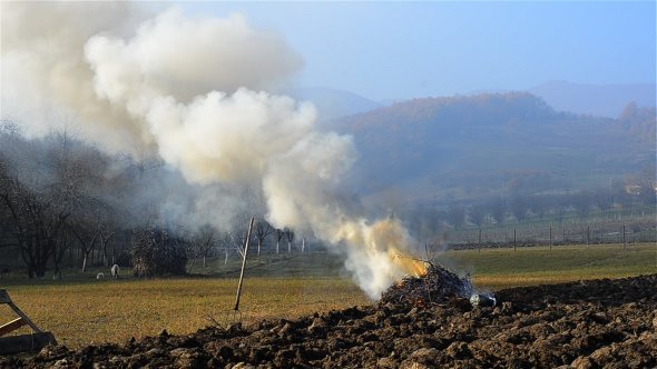 Smoke On A Field 1