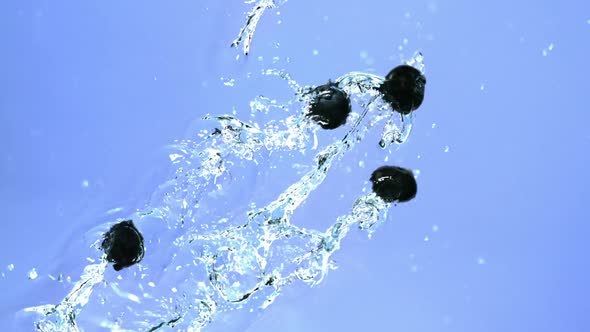 Blueberries in water, Slow Motion alt