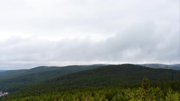 Fog Covering the Mountain Forest