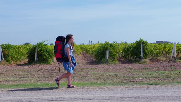 Girl with Dreadlocks Goes Past Vineyards