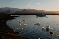 Icebergs - PhotoDune Item for Sale