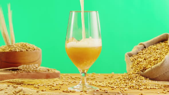 Foamy Beer in Glass Closeup