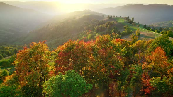 Warm Sunset Autumn Landscape