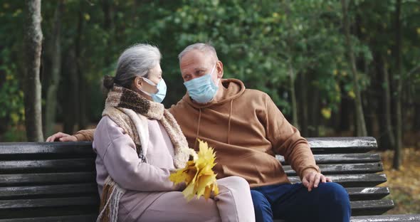Elderly Couple in Medical Masks Sits on a Bench in a Forest Park, Talking and Laughing, Gray-haired