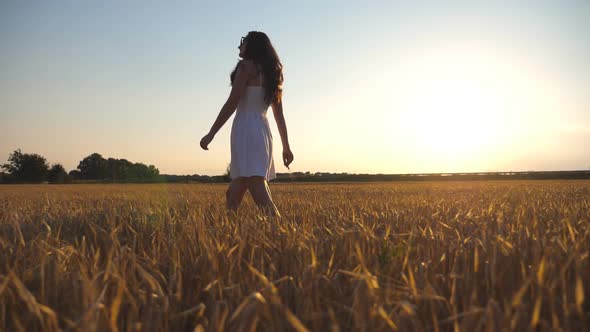 Beautiful Girl Is Walking Along Wheat Field Under Blue Sky at Sunset. Young Woman Going