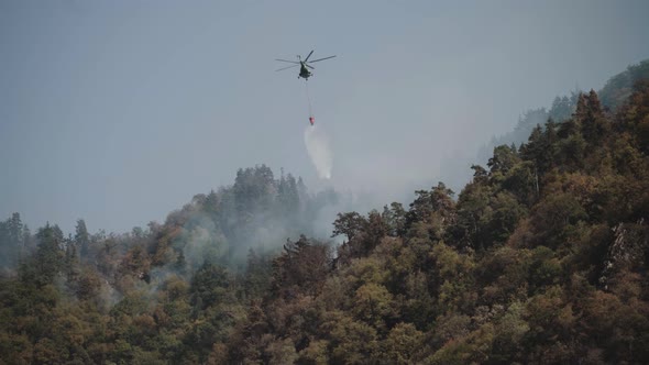 Fire in the forest. Strong fire and mist in the forest