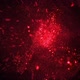 Moving Particles Red 1 - VideoHive Item for Sale