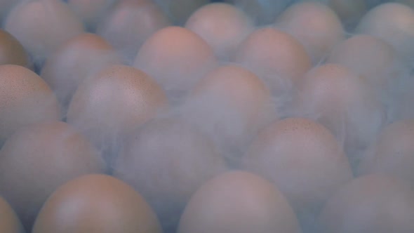 Eggs In Cold Storage With Icy Vapor Moving Over