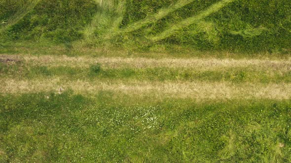 Tire Tracks On Lush Green Countryside Grass. Ascedingin Aerial Drone View.