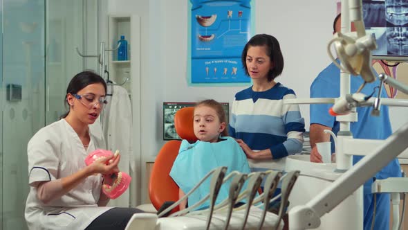 Stomatologist Explaining to Kid Proper Dental Hygiene Using Teeth Skeleton