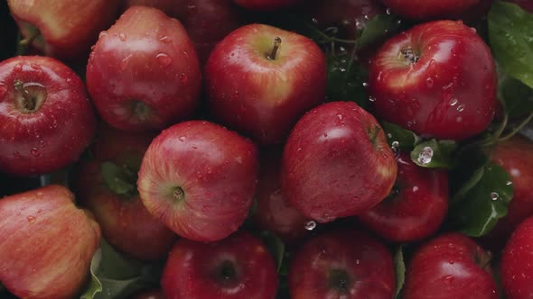 Beautiful Red Apple Composition with Many Leaves Fruit Delicious with Water