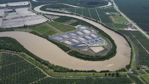 Aerial fly away curve Kerian River at oil palm plantation