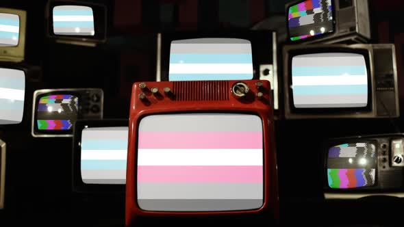 Demiboy Pride Flags and Demigirl Pride Flag on Retro TVs.
