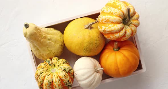 Different Pumpkins Laid in Box