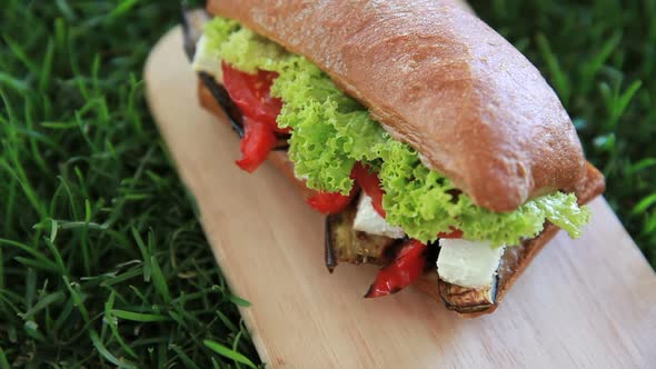 Delicious Sandwich with Fried Zucchini Fresh Vegetables and Cheese on a Green Background