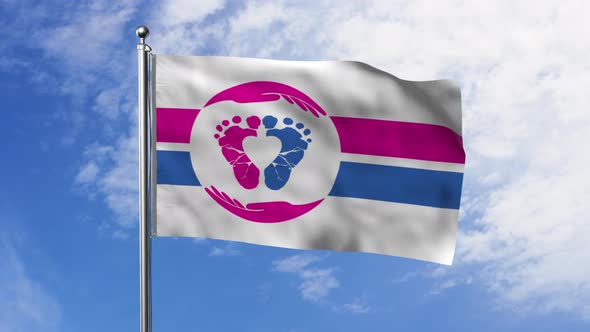 Pro-Life Flag With Sky Background