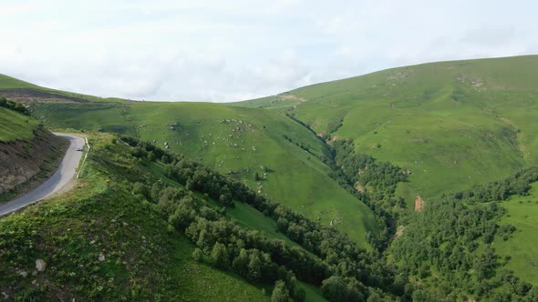 View of the Green Caucasus Mountains in Summer From the Sky