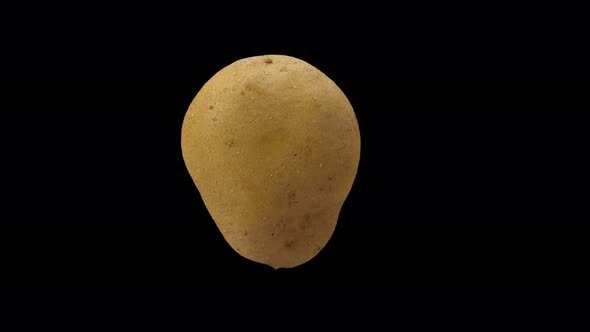 Potato Rotating With Alpha Channel