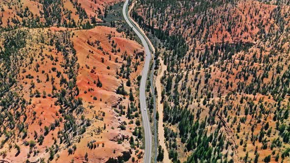 Hitchhiking Traveling in America Highway Journey