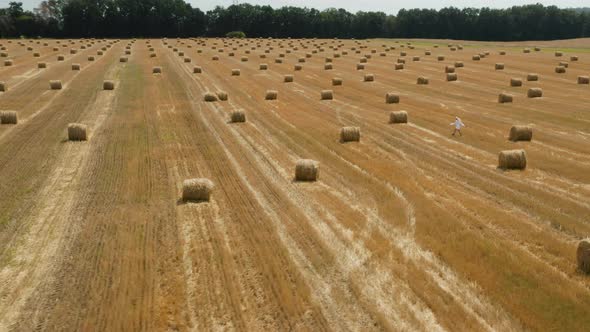 Beautiful young girl in a white shirt on a field among sheaves of hay. Aerial view	