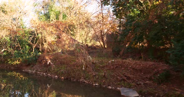 Fall Foliage By A River 4k 60p Motion Video