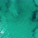 Flight Over Beautiful Seashore at Mallorca - VideoHive Item for Sale
