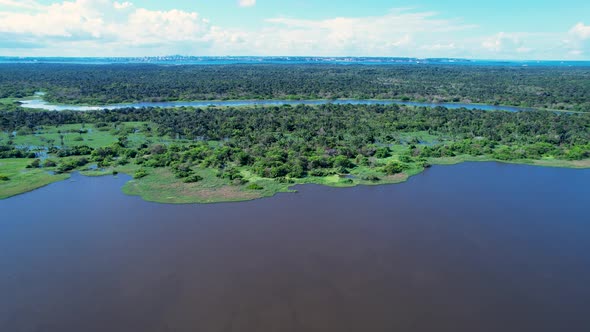 Stunning landscape of Amazon Forest at Amazonas State Brazil.