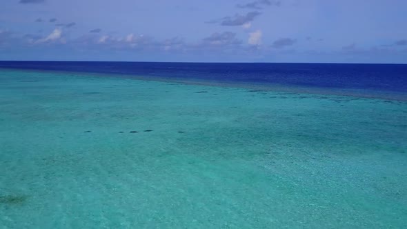 Aerial drone seascape of lagoon beach wildlife by blue water and sand background