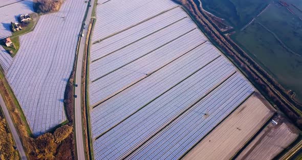 Field Plots Covered with Agrifibre Surround Road By Lagoon